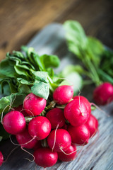 Farm fresh whole bunch of raddish