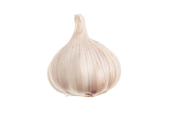 Single fresh garlic. Isolated on white background. Close-up stud