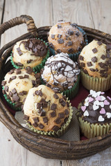 chocolate muffins
