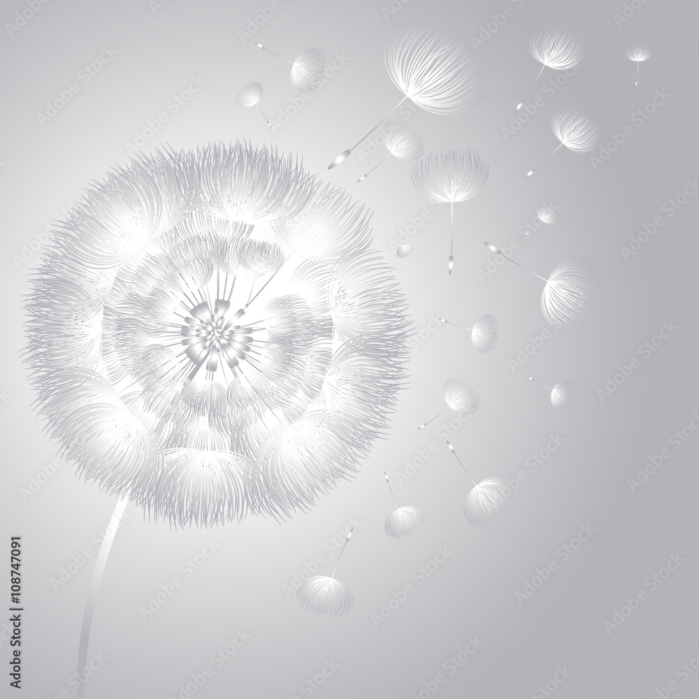 Wall mural abstract fluffy dandelion flower. vector illustration