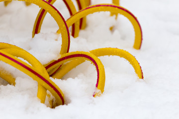 yellow hose in the snow