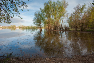 Паводок на реке Ахтуба у Среднеахтубинского моста
