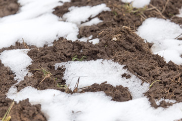 snow on the ground in nature
