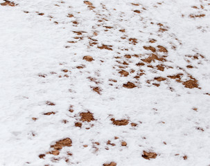 snow on red clay in nature
