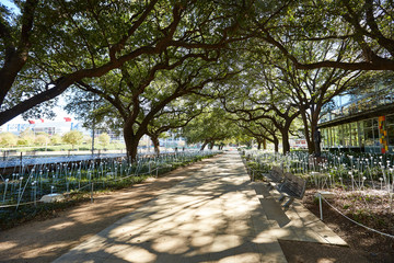 Houston Discovery green park in downtown