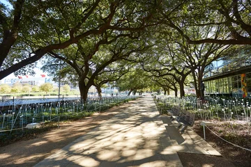 Fotobehang Houston Discovery green park in downtown © lunamarina