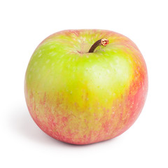 Red and green apple