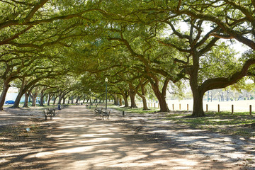 Houston Hermann park Marvin Taylor trail