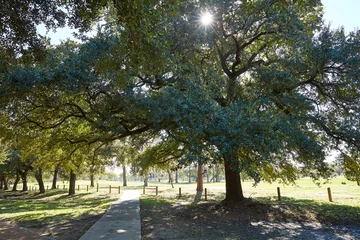 Fotobehang Houston Hermann park Marvin Taylor trail © lunamarina