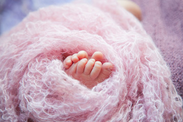 the heel of the newborn in a pink blanket