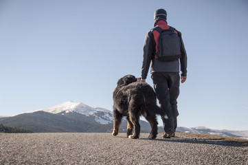 Trekking with your pet by the mountain road - obrazy, fototapety, plakaty
