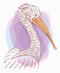 Pelican bird, vector  illustration, sign.  logo . flat design, hand draw
