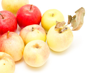 apples on a white background