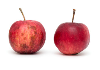 red apple on a white background