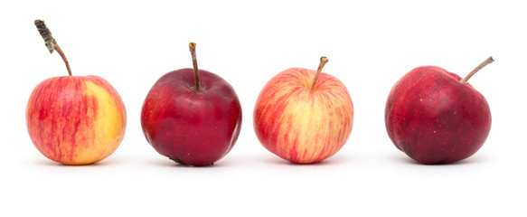 red apple on a white background