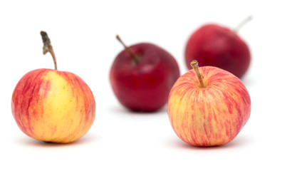 red apple on a white background