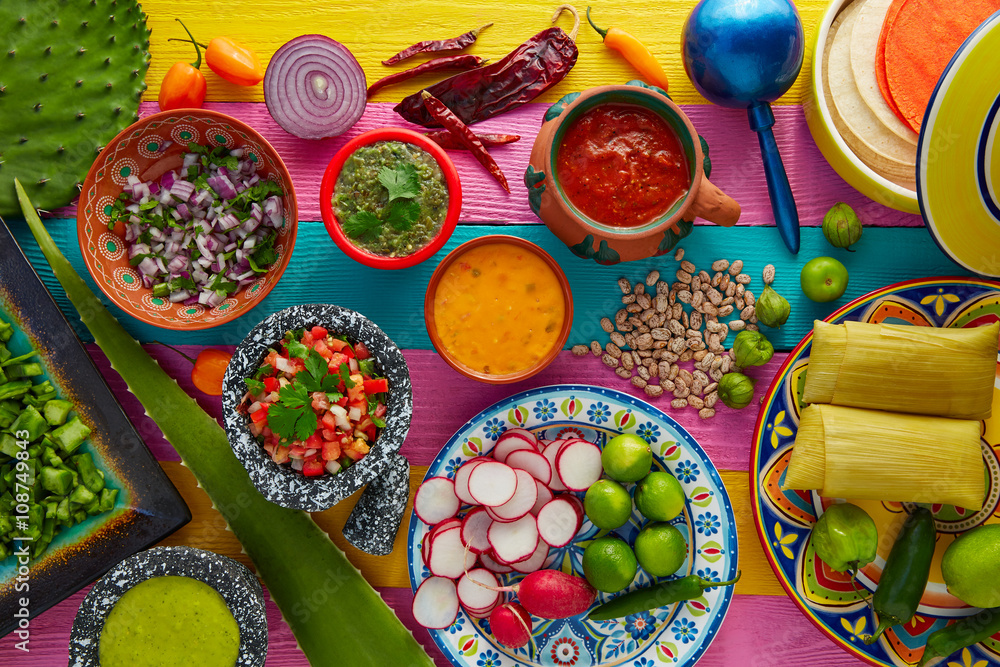 Wall mural mexican food mix with sauces nopal and tamale