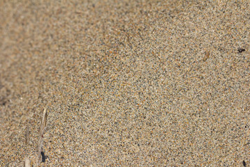 sand as background