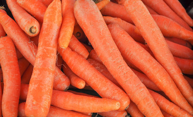 Orange Carrots vegetables