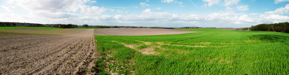 Panorama of sky clouds and grass on meadow