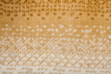 carpet as background