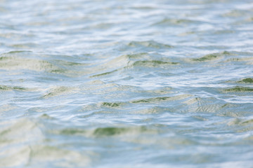beautiful background of the water surface