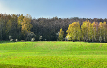 Fototapeta premium Colorful spring landscape