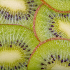 Beautiful kiwi fruit slices
