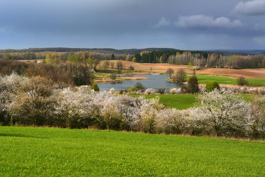 Colorful spring landscape with small lake
