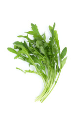 Obraz premium Herb selvachico