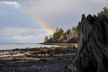Rainbow in a blue sky, with trees and beach in foreground.