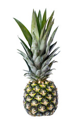 Big fresh pineapple