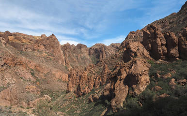 Fototapeta premium Highly Eroded Volcanic Mountains in Organ Pipe Cactus National P