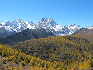 Fototapeta premium Baimang Snow Mountain Nature Reserve, Diqing, Yunnan, China