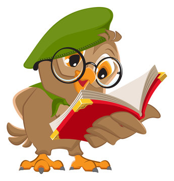 Owl Reading Book Scout