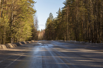 Spring landscape in the forest. Forest of Russia in the beginning of spring season, the road in the afternoon amongst the trees. 