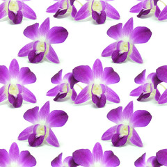 Fototapeta na wymiar Flower isolated on white pattern background seamless design