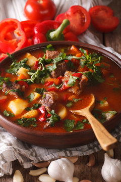 Traditional Hungarian goulash soup bogracs close-up in a bowl. Vertical
