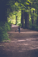 Boy Exploring Forest in Victoria, British Columbia with his dog