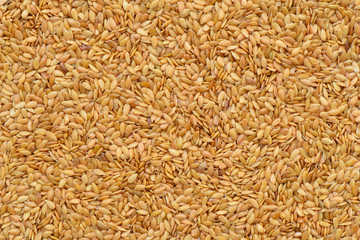 Golden linseed texture or background