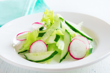 Radish, celery and cucumber salad