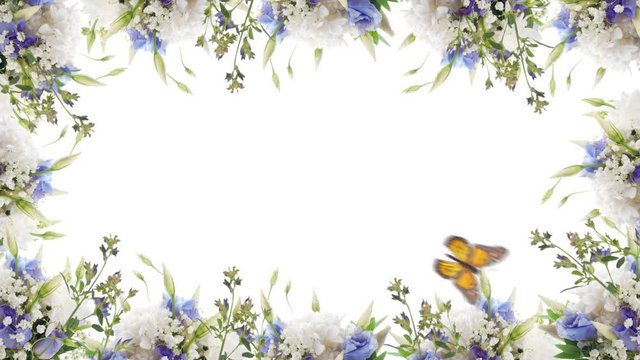 Bouquet of blue irises, white flowers and butterfly. Footage with alpha channel. File format - mov. Codec - PNG+Alpha 