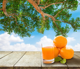 image of wooden table and orange juice in front of tree and sky
