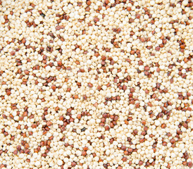 Quinoa background