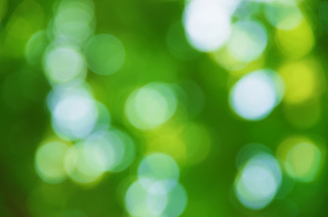 Obraz premium Natural blurred background.