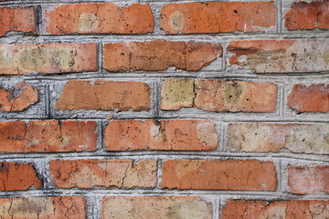 Obraz premium Background of brick 