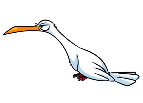Bird seagull cartoon illustration isolated image animal character 
