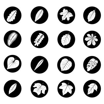 A diverse collection of  leaves in the form of icons