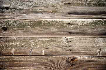 grunge wood planks