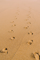 Fototapeta na wymiar foot print on the beach